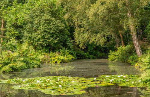 Rural bolthole in Constable country estate - The Woodshed - Foto 35