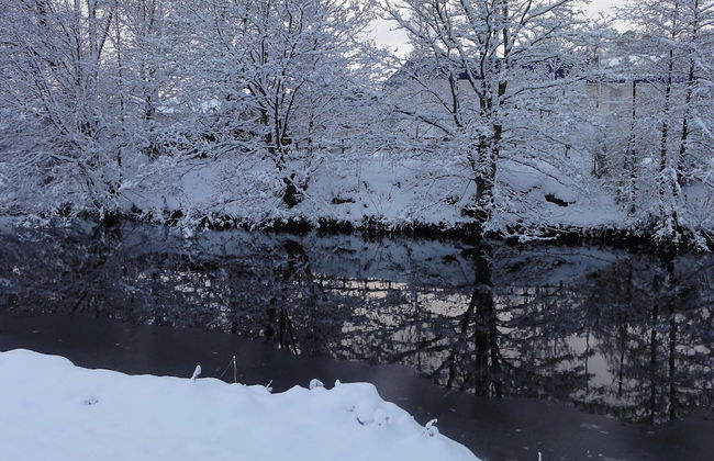 Cottage in Jedburgh With Stunning Views - Foto 18