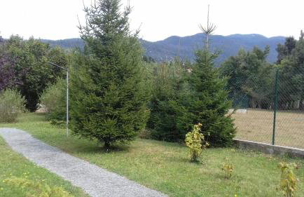 Planinska kuća Dasović - Foto 15