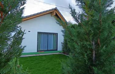 La Cabane de Shakespeare mini-maison à Haguenau - Photo 13