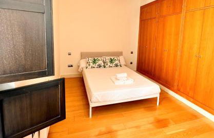 Penthouse near cathedral private rooftop Private Parking - Foto 7