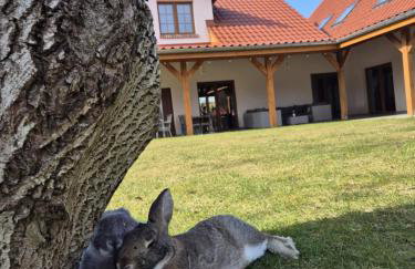 Lubie Apartments Lubieszewo - Foto 24