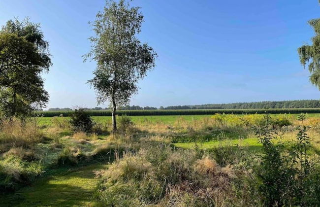 Tranquil Stay in Drenthe - Photo 23