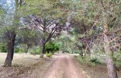 Finca La Alcolehuela - Foto 25