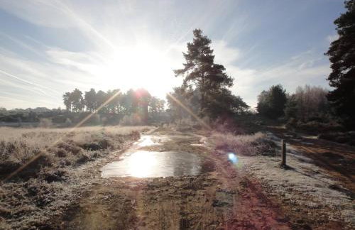 The Old Cook's House - Foto 39