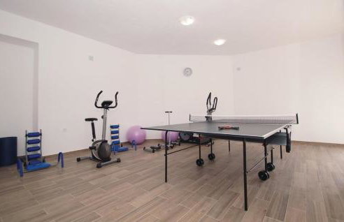 Pine Tree Apartment Zanetic - Photo 40