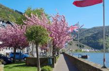 Apartment Hallenbach - Foto 23