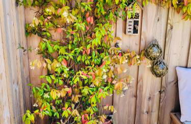 Cocon entre presqu'île du Cap Ferret et plages océanes - terrasse - 1 vélo gratuit - Foto 39