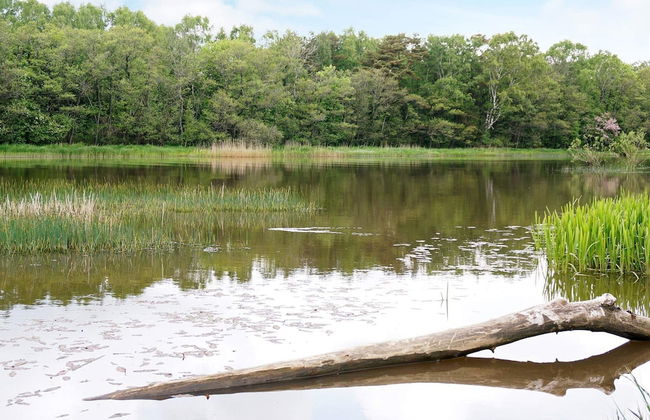 4 Person Holiday Home in Heberg - Foto 21