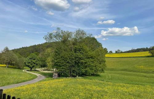 Entspannung und Erholung, Ferienwohnung mit traumhaftem Blick in die Natur - Foto 13