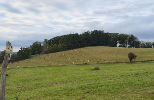 Lovely Apartment in Extertal - Foto 53