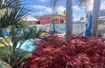 Alloggi Turistici con Piscina Palestra Jacuzzi Sauna - All Inclusive - Photo 79