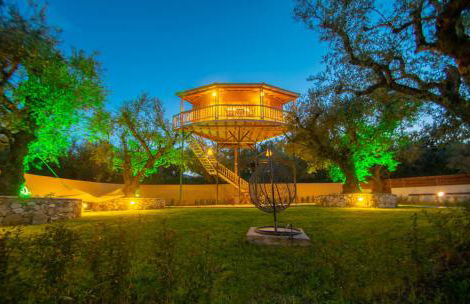 Zante Lagos holiday homes Treehouse and Villa - Foto 9