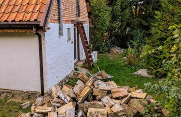 Świerkowe Ranczo Raciszewo - Foto 48