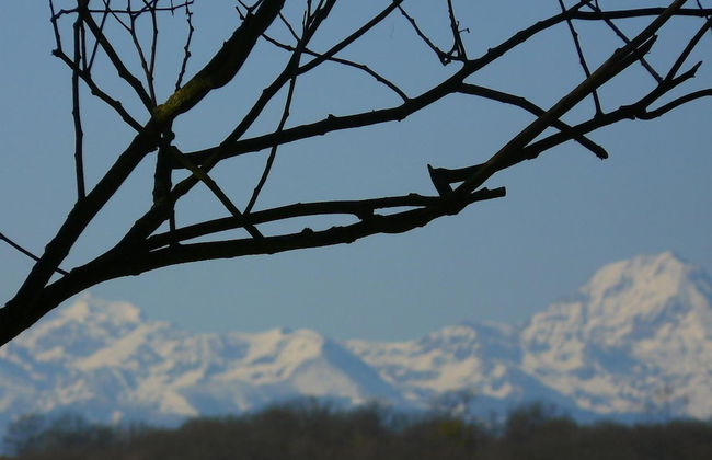 Gite Au Bouzigues - Foto 46