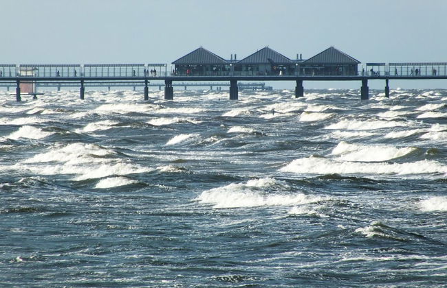 Doppelhaushalfte Ostseehaus I in Trassenheide - Foto 38