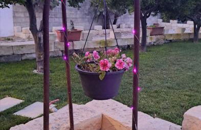 CH Guest House - Foto 30