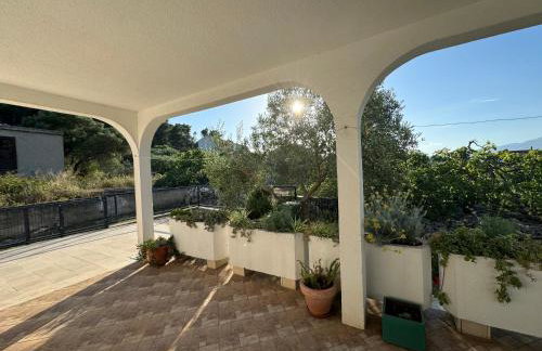 Villa Oliva Korcula - Photo 12