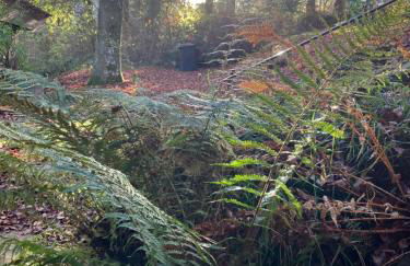 Ferienhaus-stadtkyll Beim Förster - Foto 16