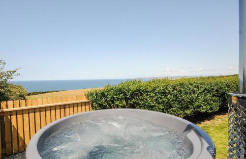 Lundy View Chalet - Foto 17