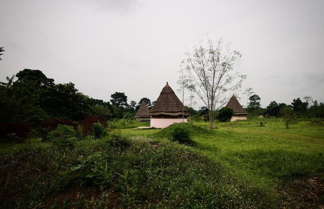 Refuge du Mont Agou - Photo 46