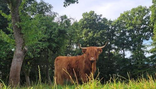 Heidehof Kuppendorf - Foto 5