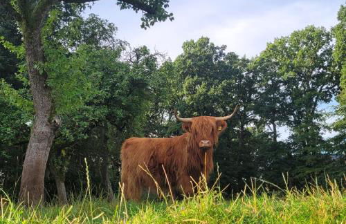 Heidehof Kuppendorf - Foto 5