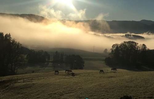 Panoramablick - Foto 19