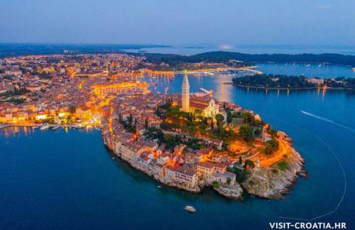 Modern Apartment with Fireplace & Stylish Kitchen - Photo 15