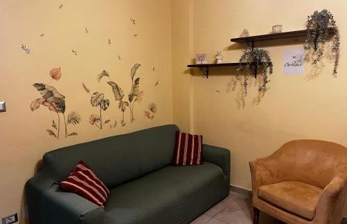 Little's Venaria - Photo 9