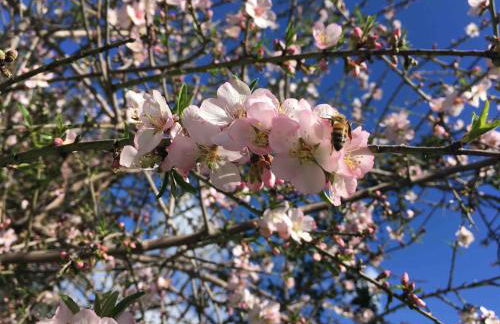 Chrisi Holiday Home - 500 sqm Private Gardens & Nature View - 300m by the sea - Photo 68