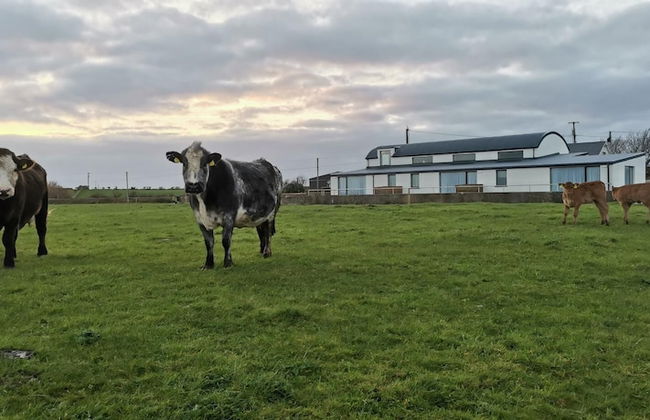 Luxury Villa Six Suites Private Path to Sea - Foto 7