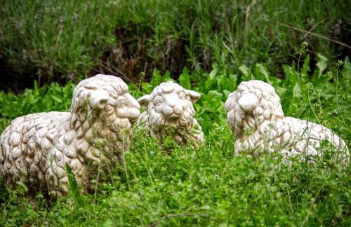 Casa "Dolina Kraljevac" - Foto 67