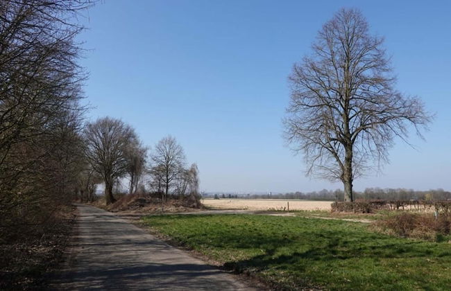 Holiday Home in Bemelen With Sauna - Photo 36