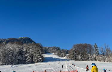 Maiergschwendter-Hof inkl. Chiemgaukarte - Foto 10