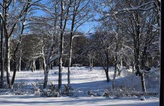 Henne Hahnenklee - Foto 27