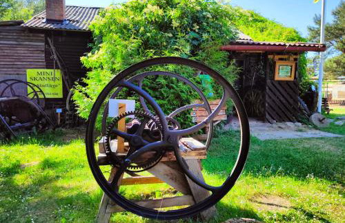 Agroturystyka Zagroda Alpaka - Foto 37