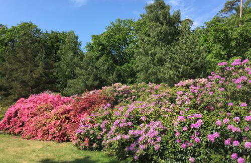 Ferienwohnung Familie Görtler - Foto 21