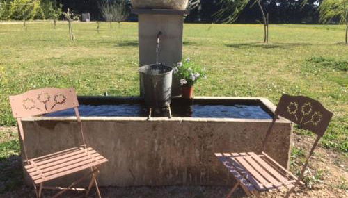 Safranière des Sorgues - Photo 3