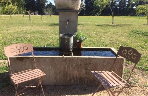 Safranière des Sorgues - Photo 3