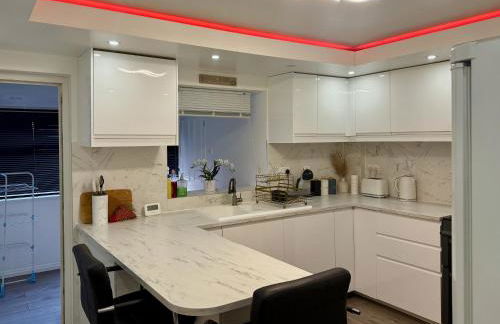 Modern Elegant Home - Photo 4