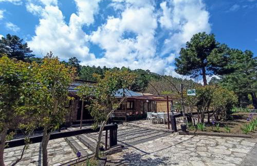 Chalet lujo en finca Zafiro lagunazo Riopar 5 o 3 dormitorios y 3 Baños Parque Natural del Rio Mundo - Foto 40