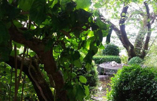 Haus Wagner - Foto 23