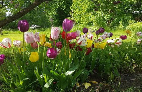 Landhaus Lange3 Moderne Kunst - Photo 18