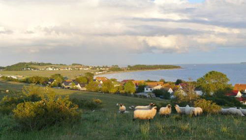 Bülows kleines Ferienhaus - Foto 2