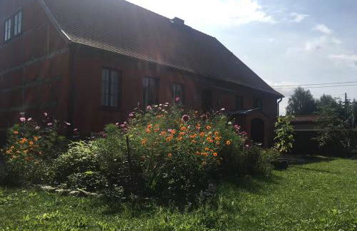 Landidyll - Bauernhaus Ländchen Bellin - Photo 36