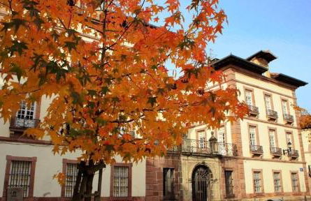 Pedroenea Apartamento Elizondo - Foto 44