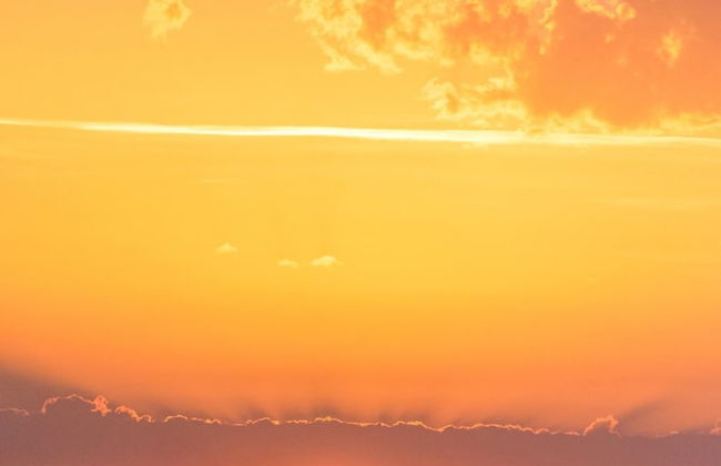 Villetta Large Morellino 4 pax - Foto 16