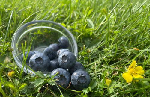 Agriturismo Girasole - Foto 33