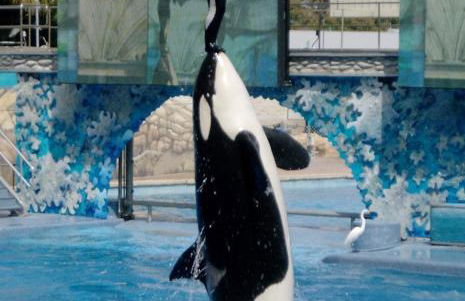 Orlando Family Friendly Home - Foto 13